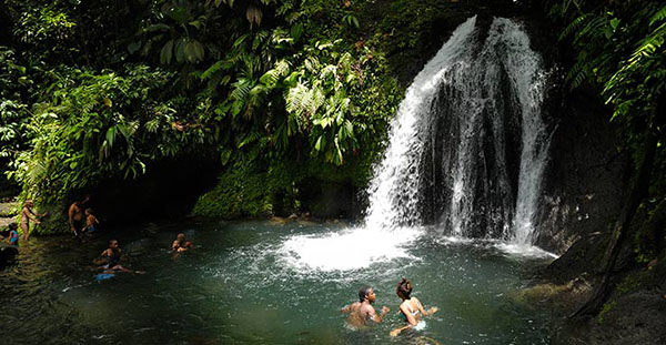 guadeloupe-forest-waterfall-2