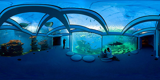 aquarium-palma-cut