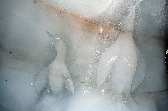 Image : Grotte de glace : sculpture de pingouins