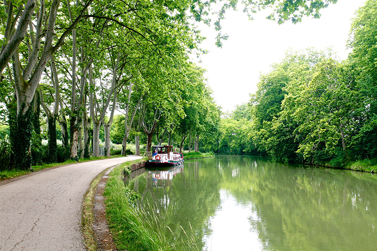 Toulouse canal du midi