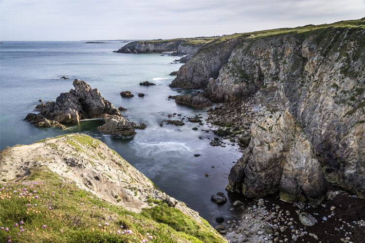 Coup de filet du Parc naturel marin