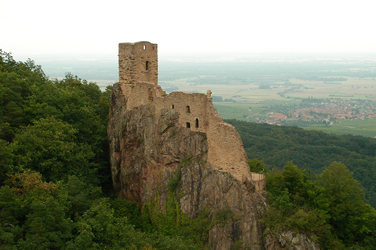 Randonnées en Alsace "Château de Girsberg"