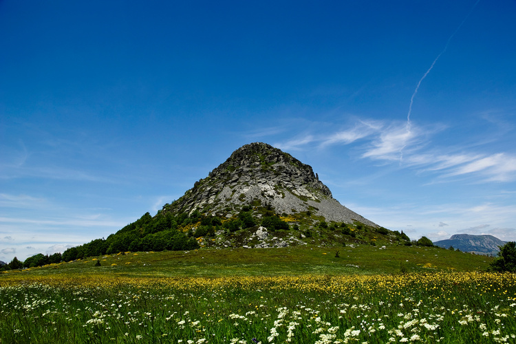 Mont gerbier des Joncs en Ardèche, parfait pour de l'activité comme de la randonnée 